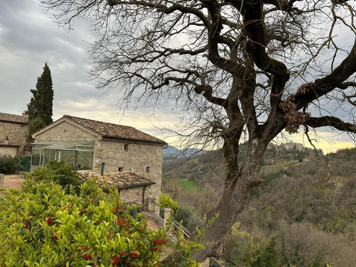 Bed and Breakfast Borgo Cardaneto Монтоне Экстерьер фото