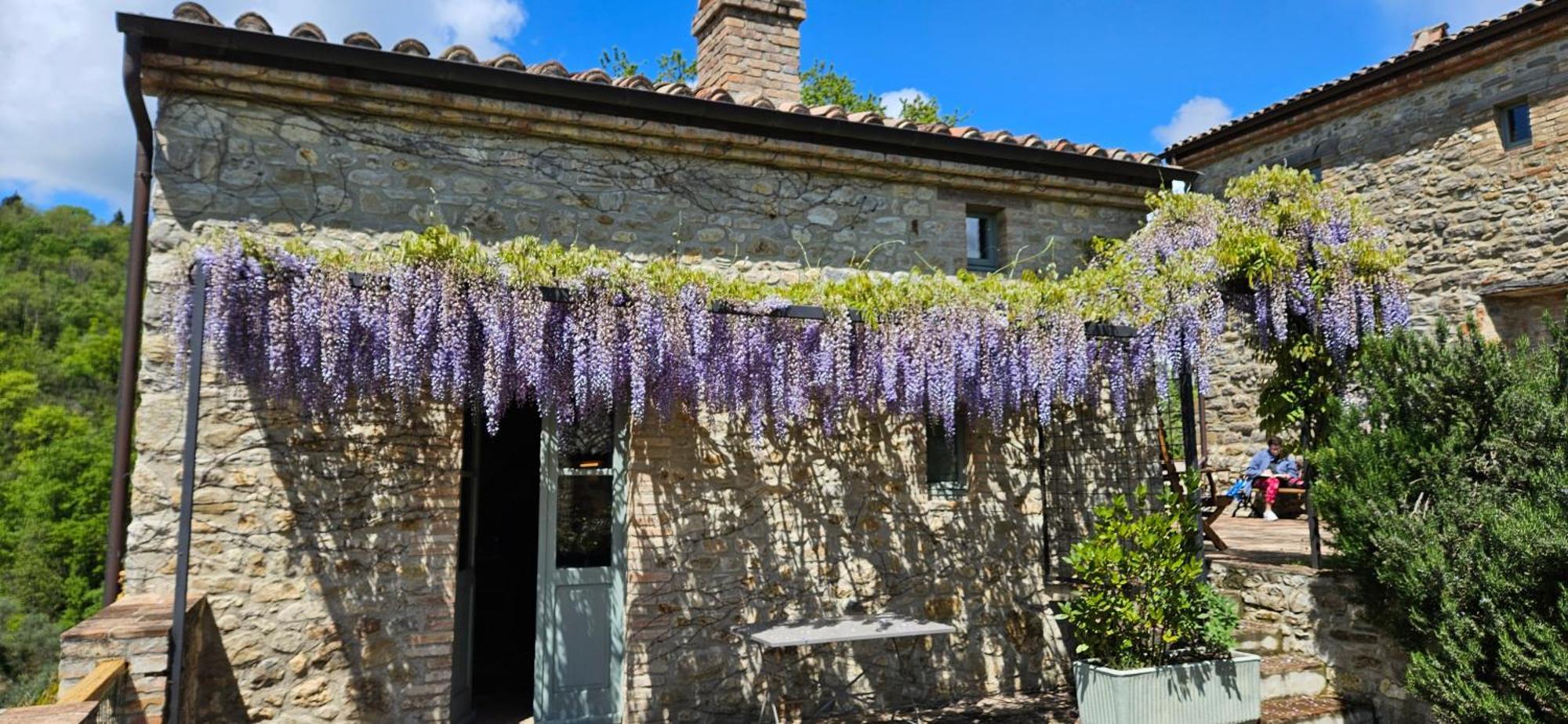 Bed and Breakfast Borgo Cardaneto Монтоне Экстерьер фото