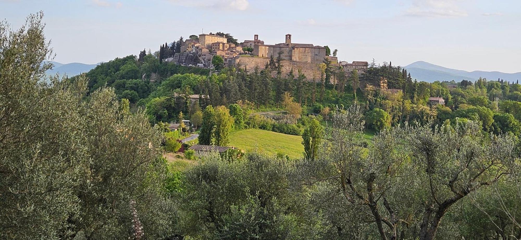 Bed and Breakfast Borgo Cardaneto Монтоне Экстерьер фото